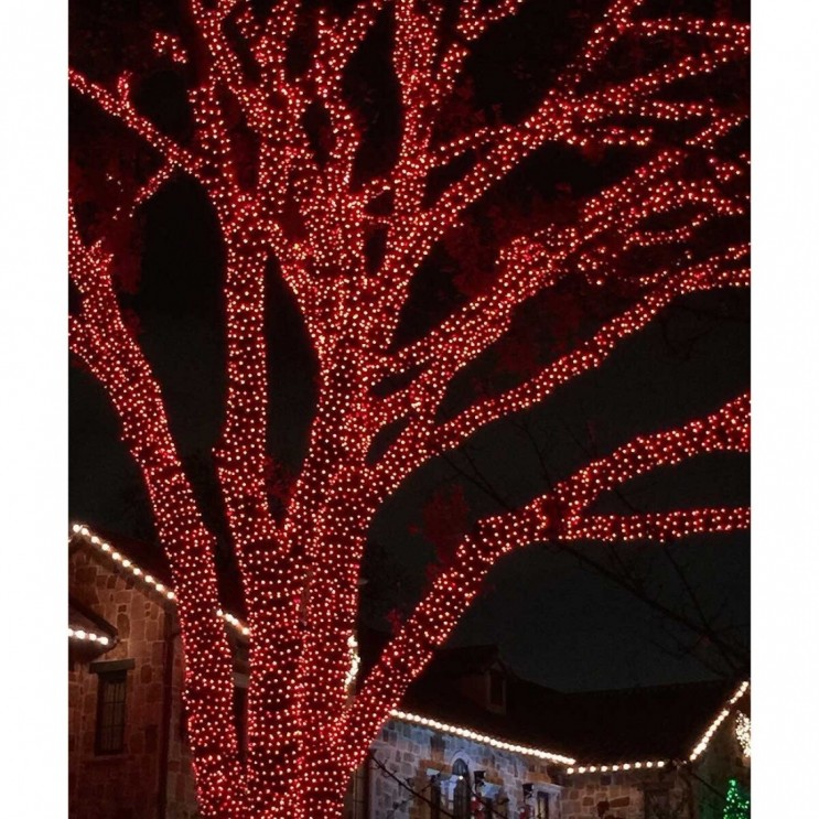 Instalatie Brad 100 LED,10 M,8 jocuri lumini,Rosu